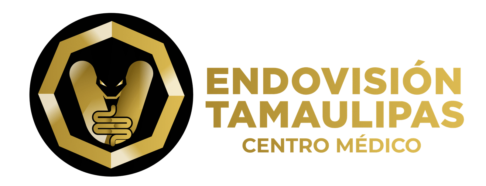 ENDOVISION-24